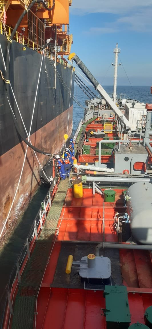 Cargo Surveys